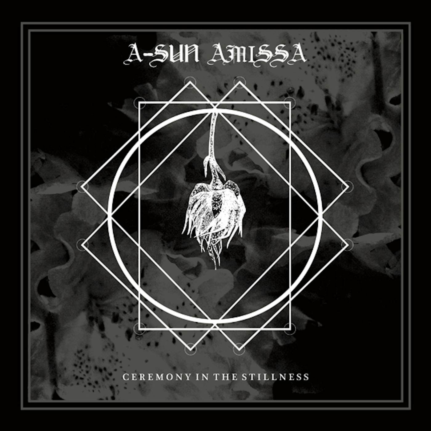 A-Sun Amissa CEREMONY IN THE STILLNESS CD