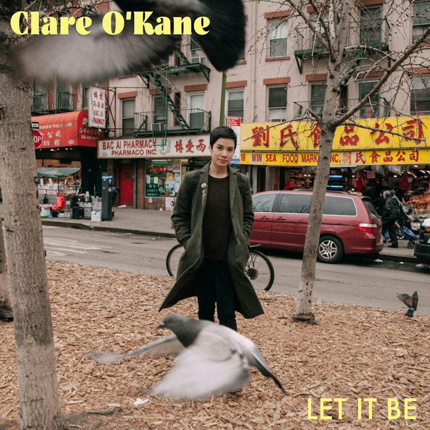 Clare O'Kane Let It Be Vinyl Record
