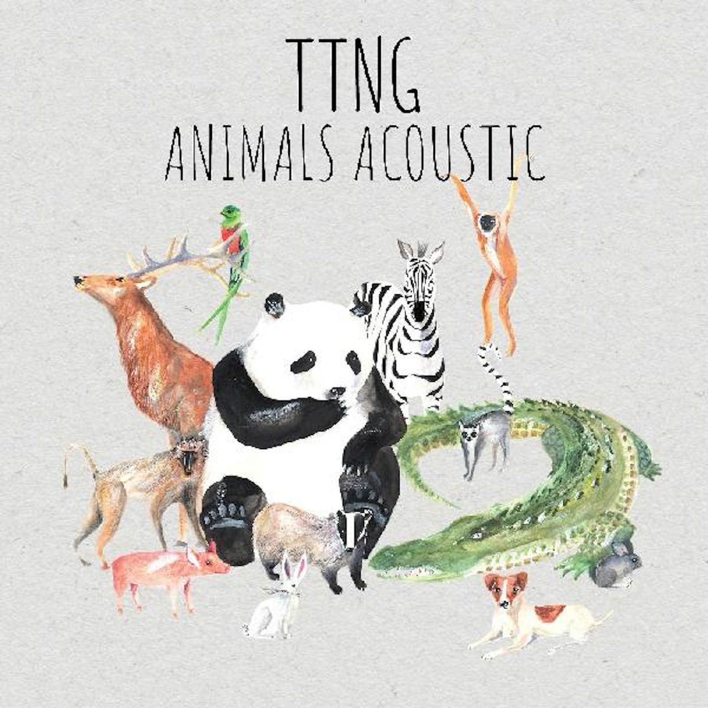 TTNG Animals Acoustic Vinyl Record