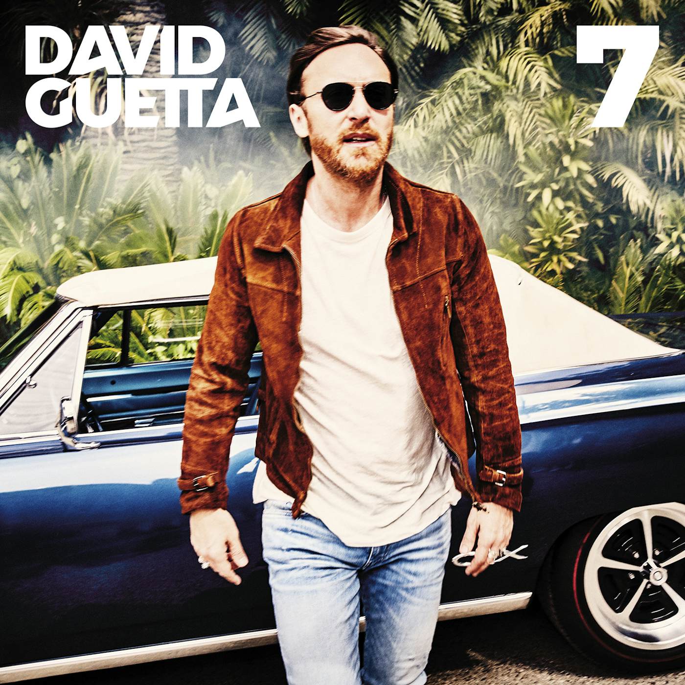 David Guetta 7 Vinyl Record