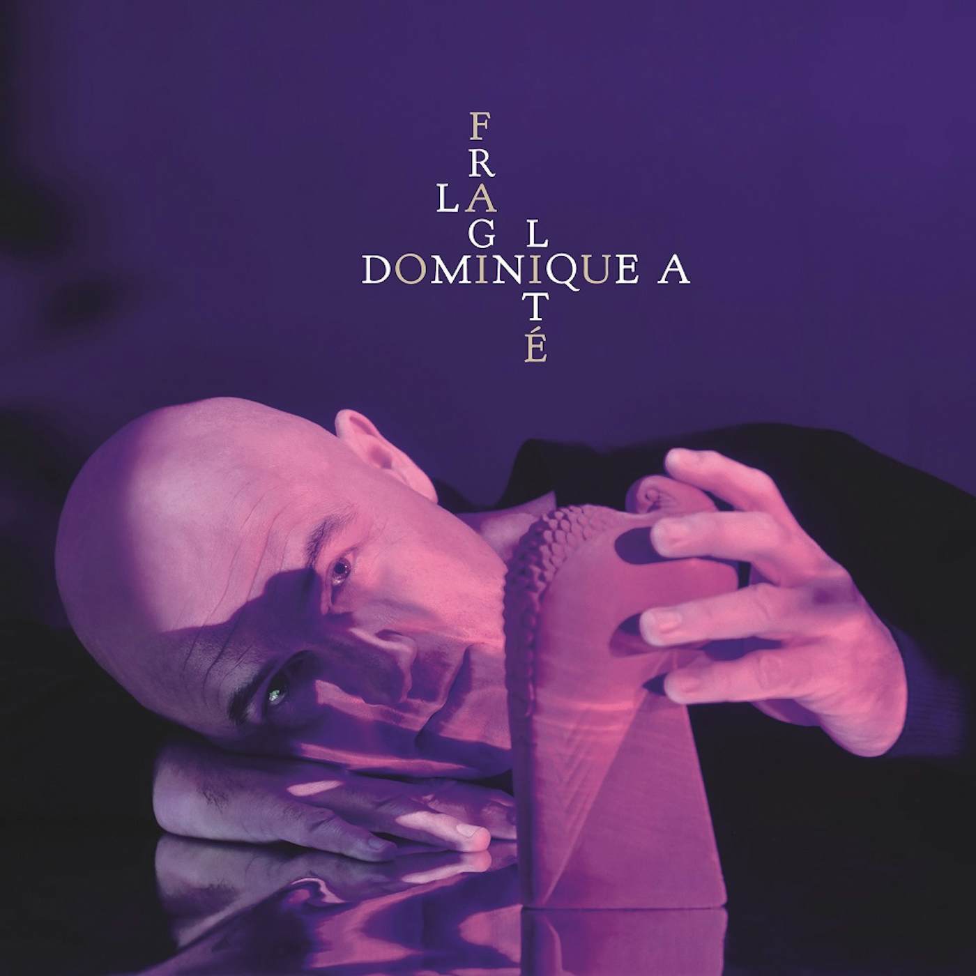 Dominique A LA FRAGILITE Vinyl Record