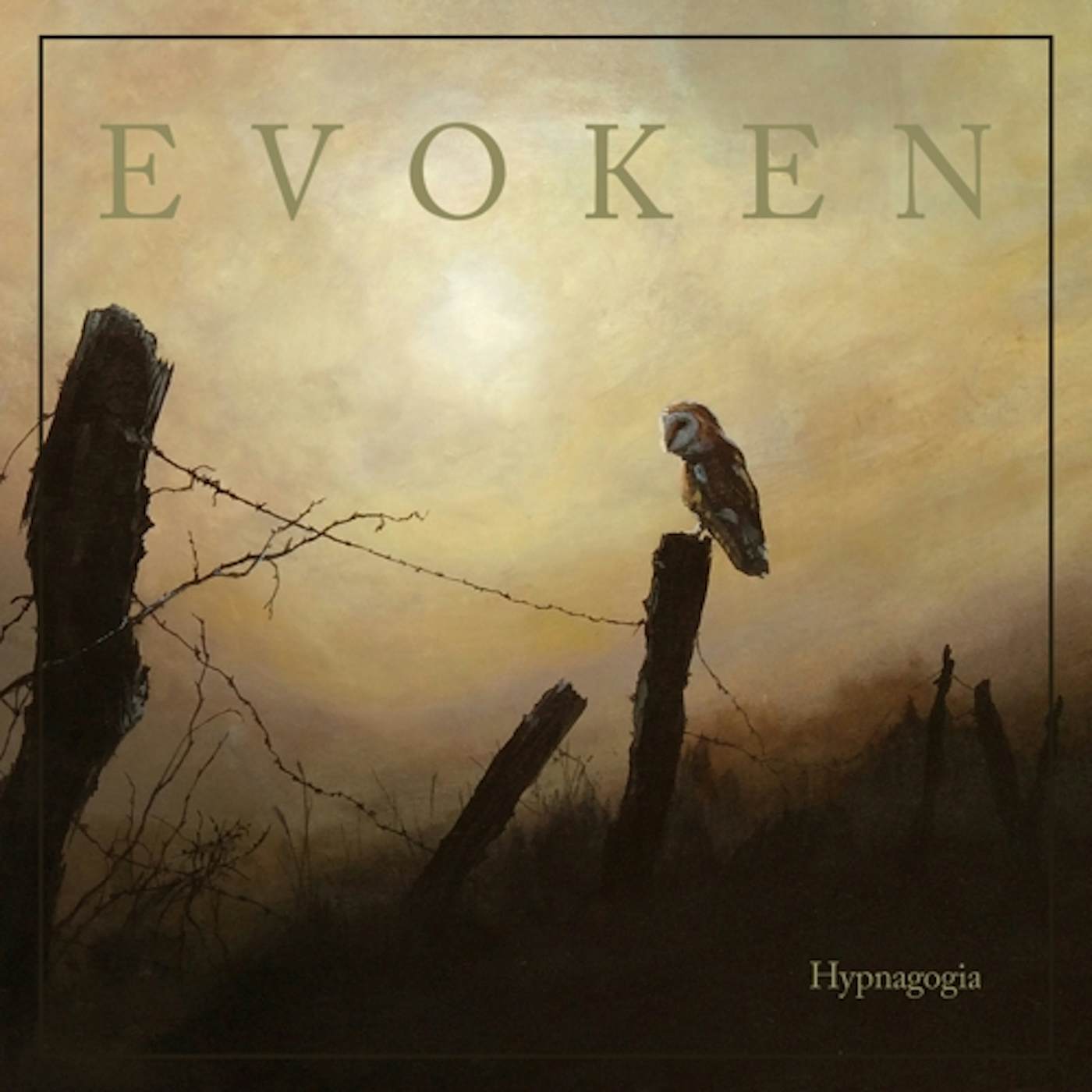Evoken Hypnagogia Vinyl Record