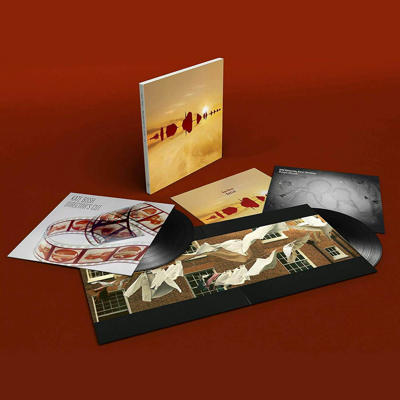 Kate Bush Remastered Vinyl LP Box Vinyl Record