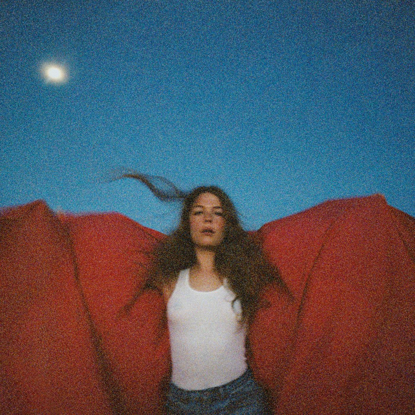 Maggie Rogers Heard It In A Past Life Vinyl Record