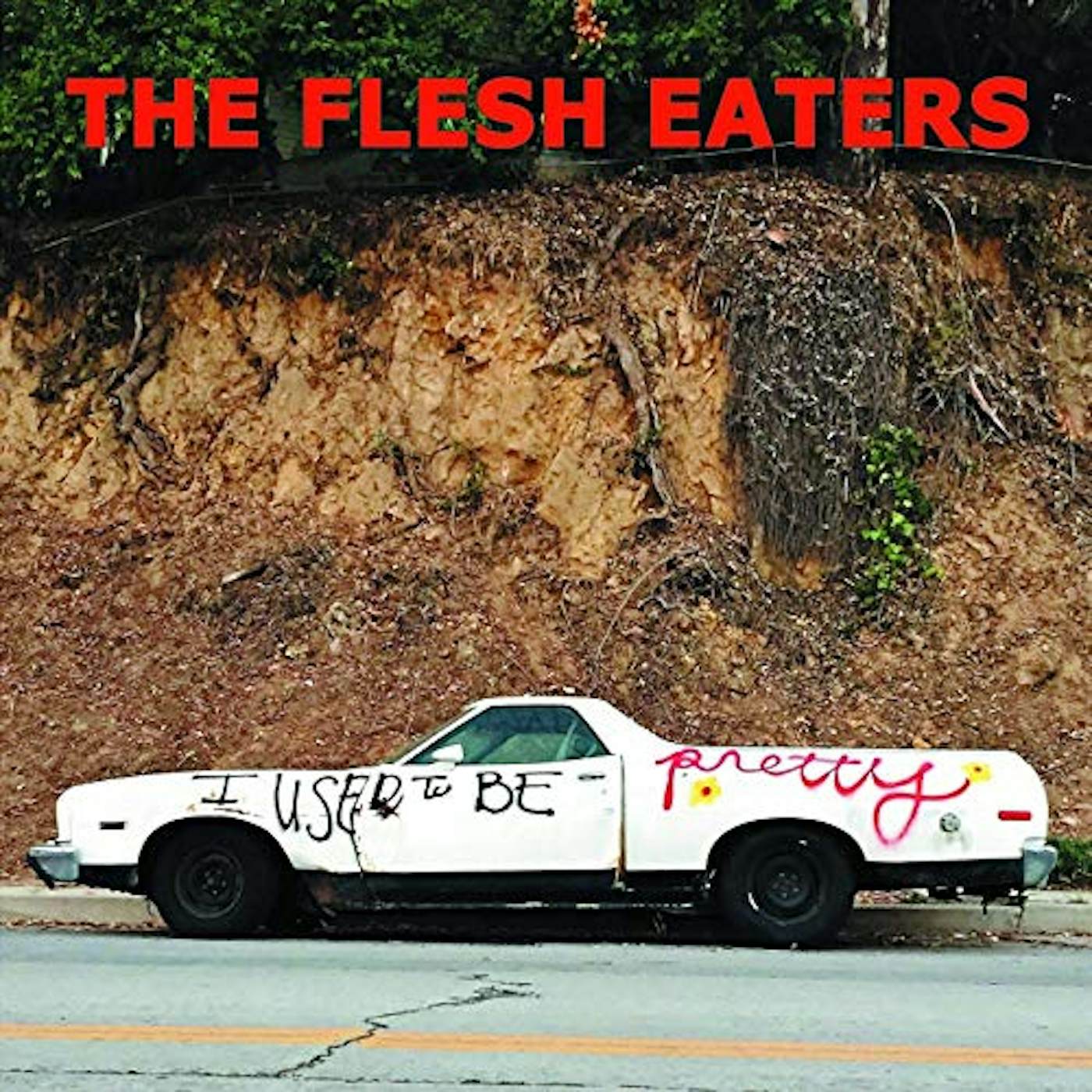 The Flesh Eaters I Used to Be Pretty Vinyl Record