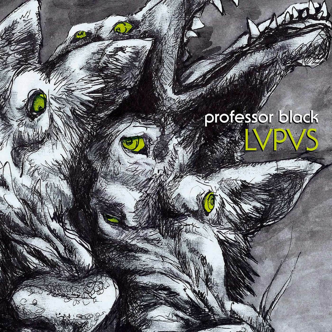Professor Black LVPVS (GREY VINYL) Vinyl Record