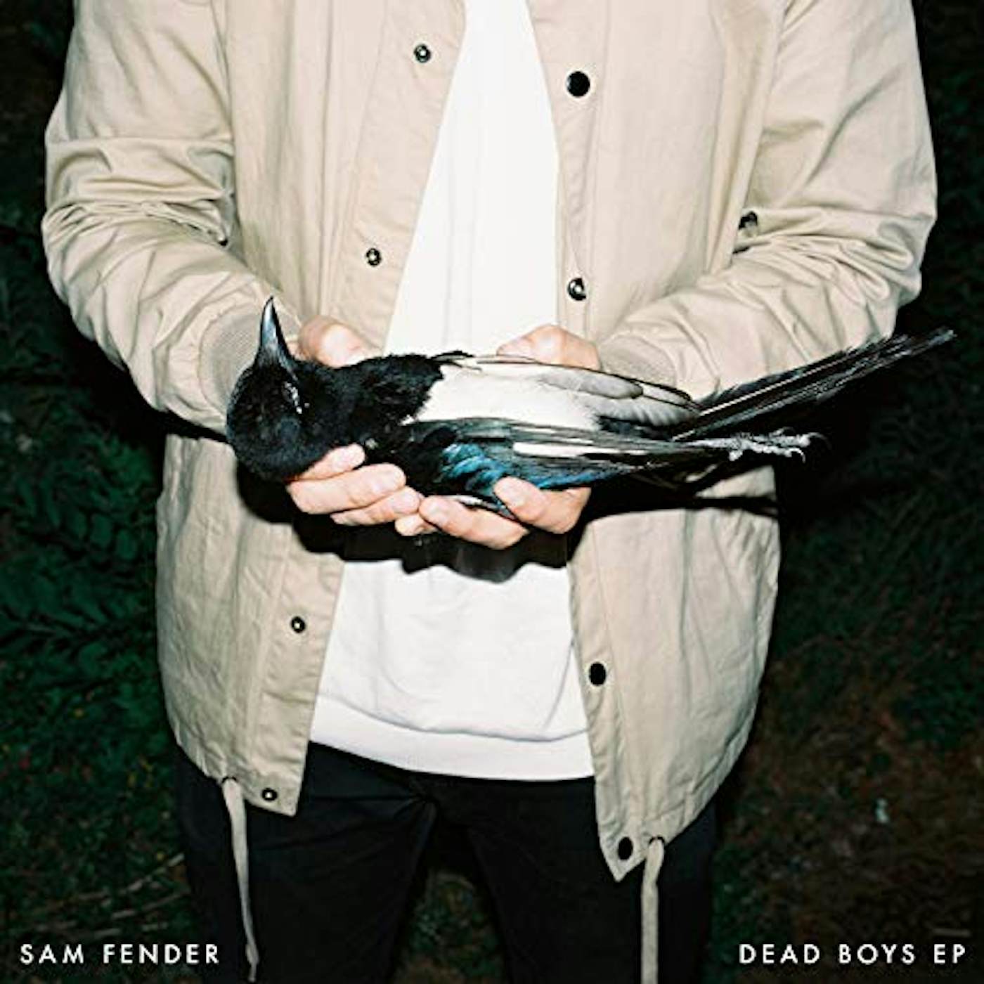 Sam Fender Dead Boys Vinyl Record