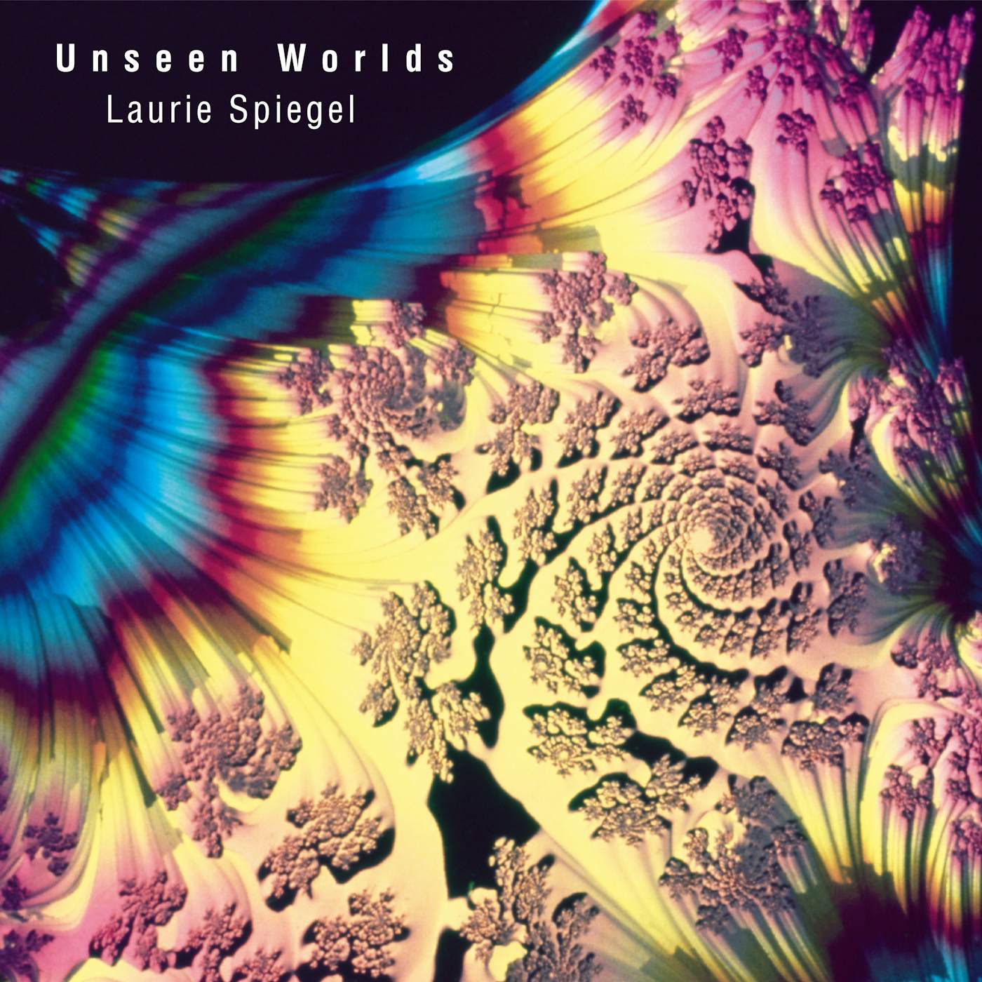 Laurie Spiegel Unseen Worlds Vinyl Record