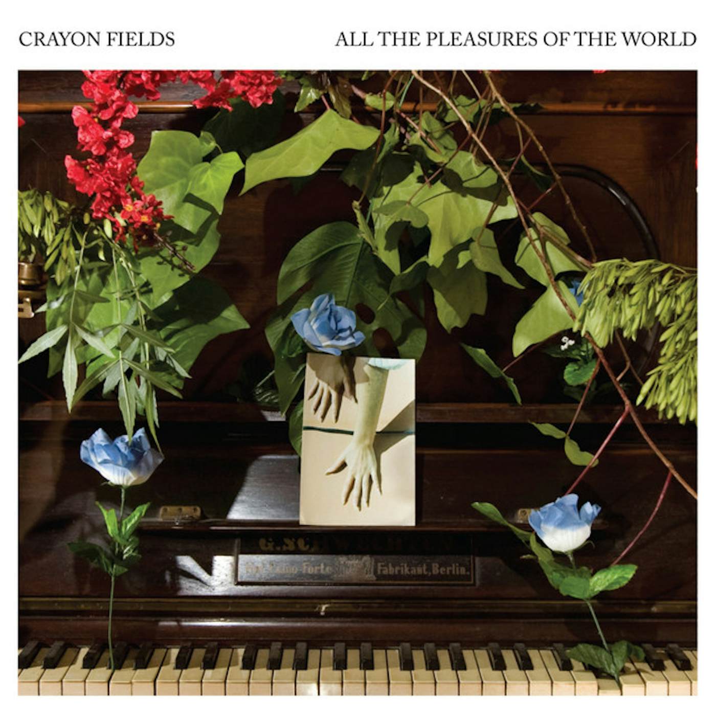 The Crayon Fields ALL THE PLEASURES OF THE WORLD CD