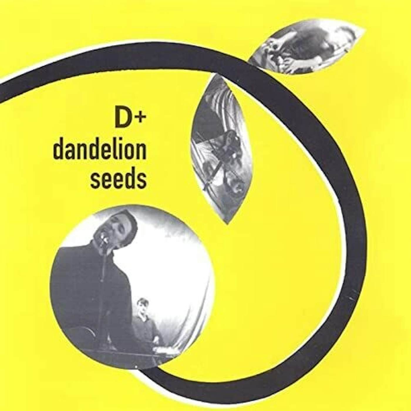 D+ DANDELION SEEDS CD