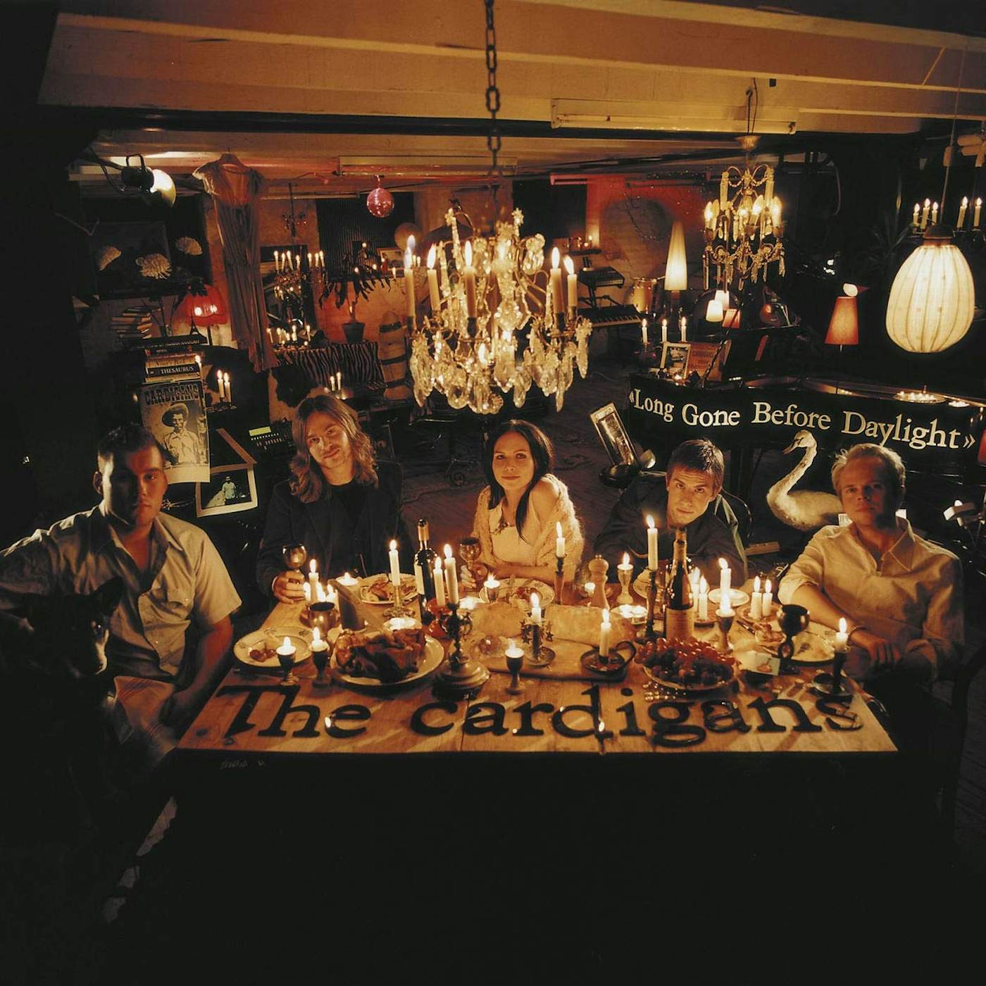 The Cardigans Long Gone Before Daylight Vinyl Record