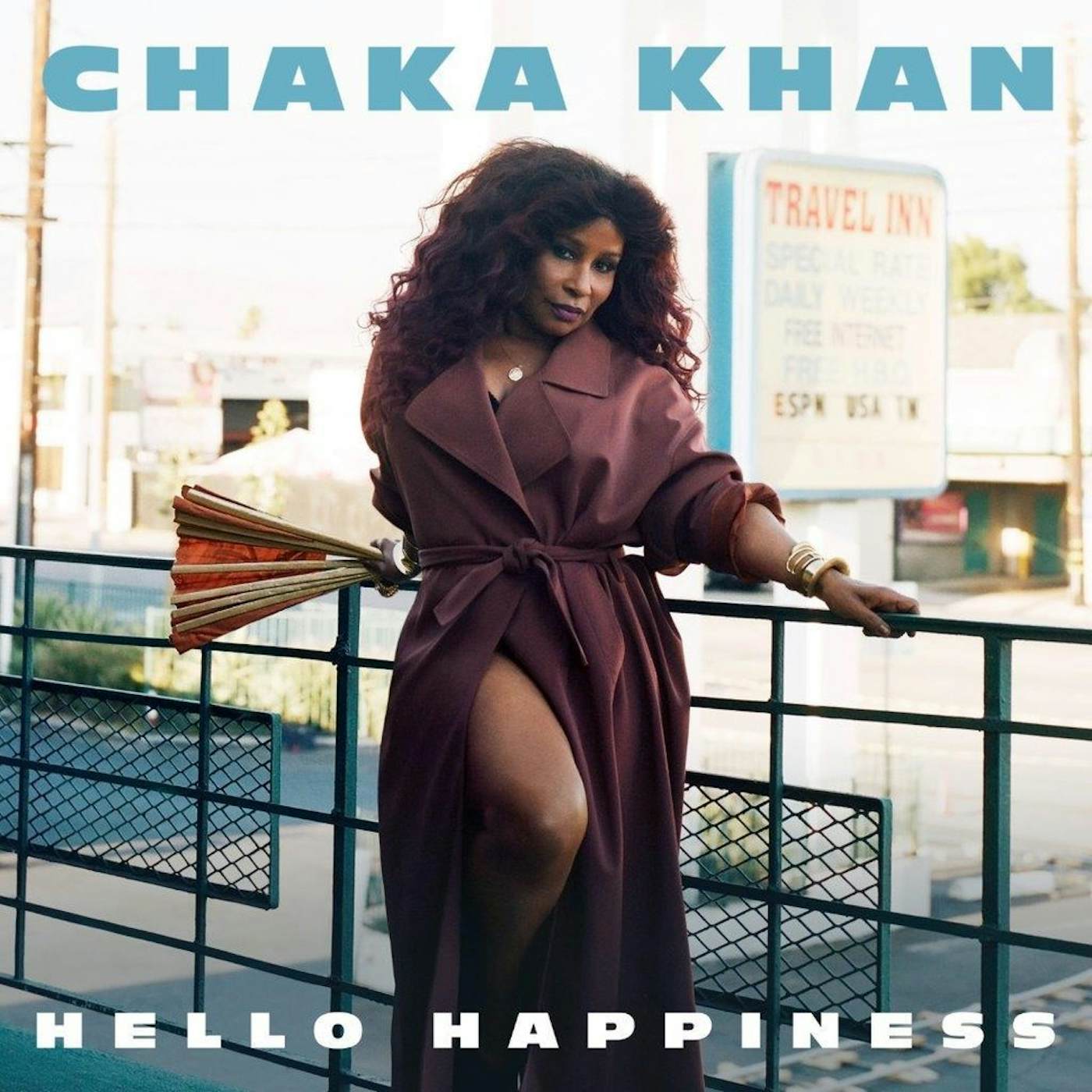 Chaka Khan Hello Happiness Vinyl Record