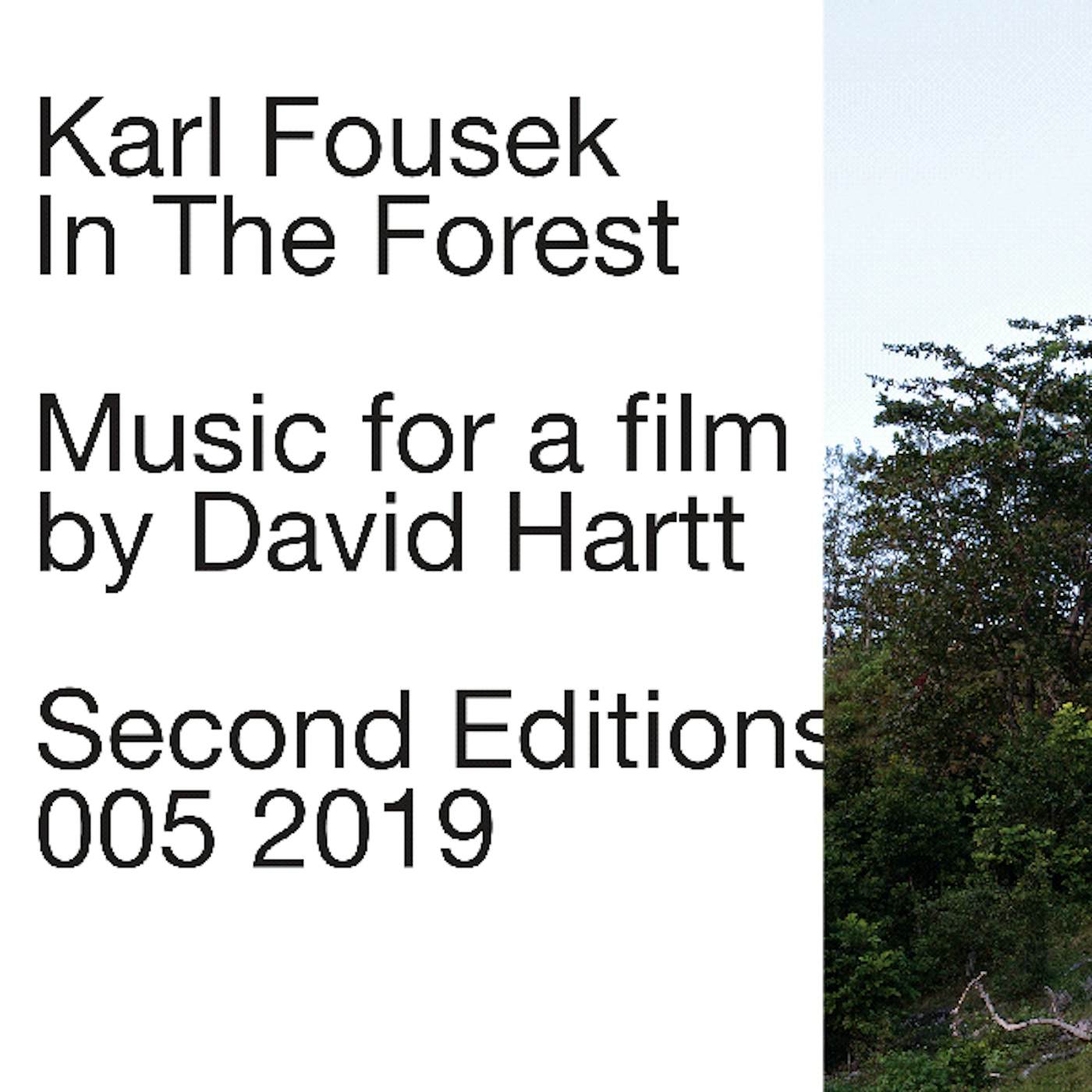 Karl Fousek In The Forest Vinyl Record