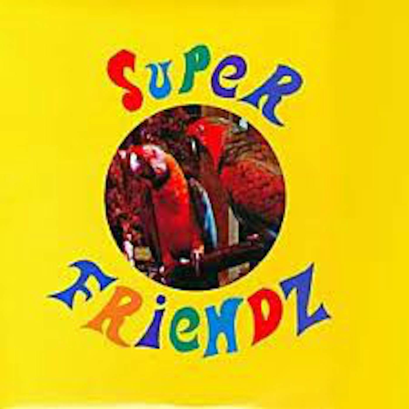 The Super Friendz PLAY THE GAME NOT GAMES Vinyl Record