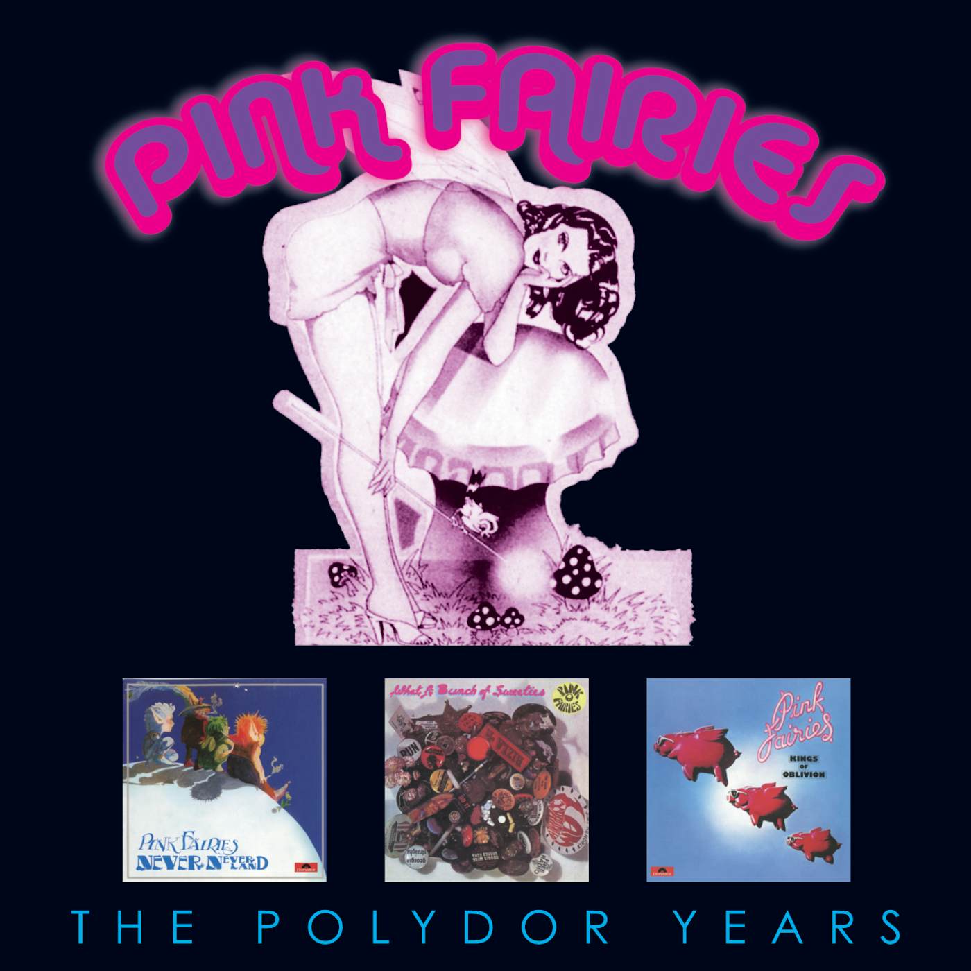 The Pink Fairies POLYDOR COLLECTION CD