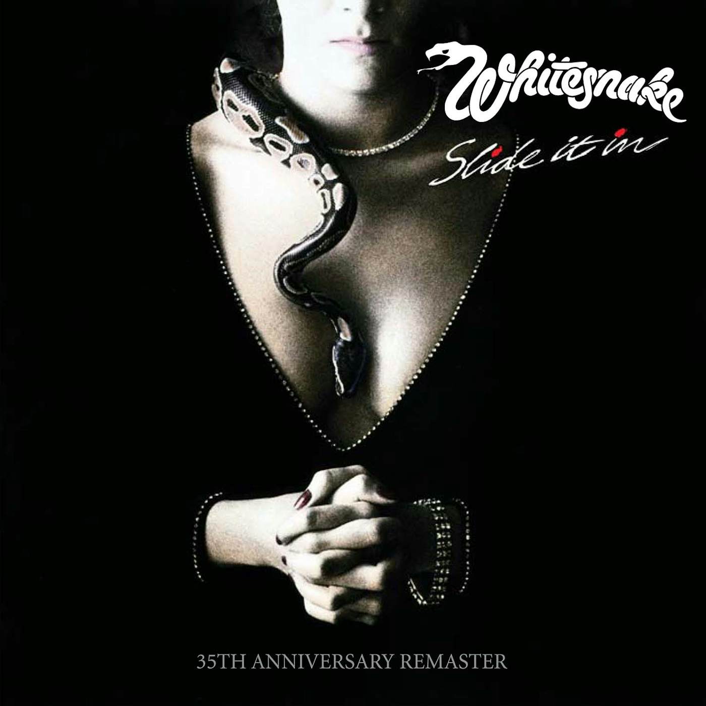 Whitesnake SLIDE IT IN (US MIX) CD