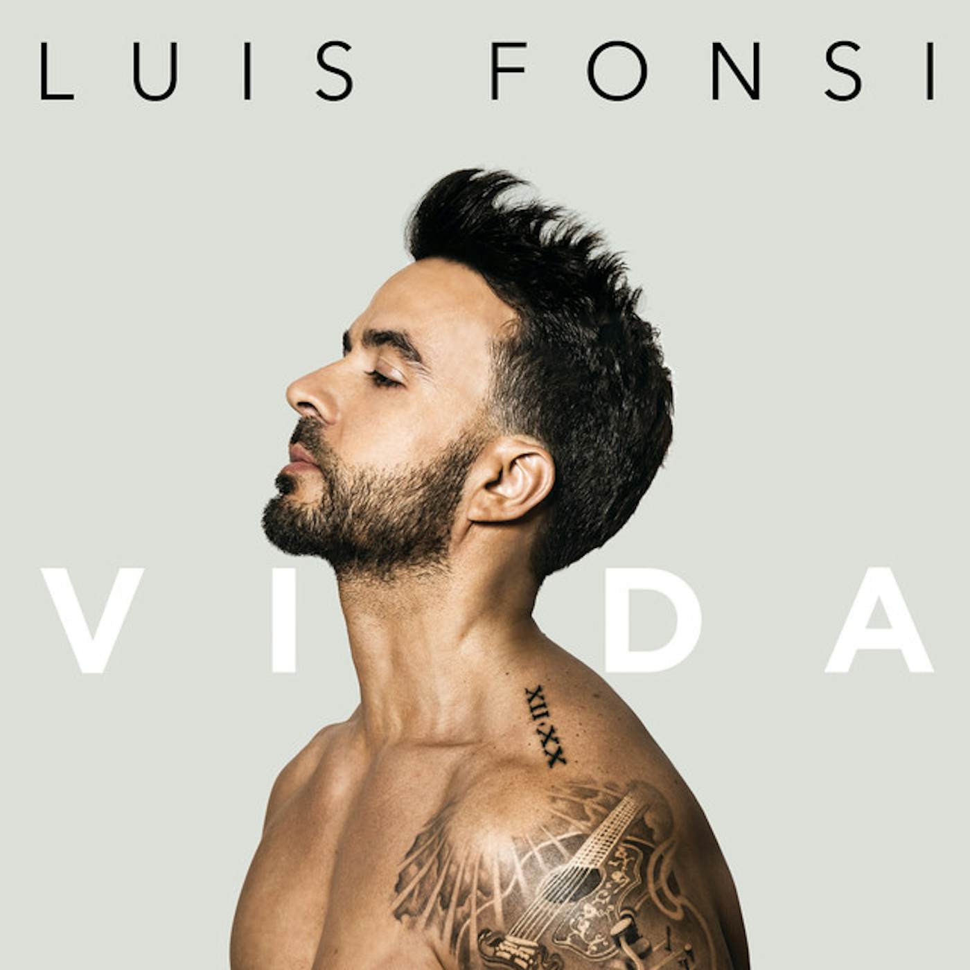 Luis Fonsi Vida Vinyl Record