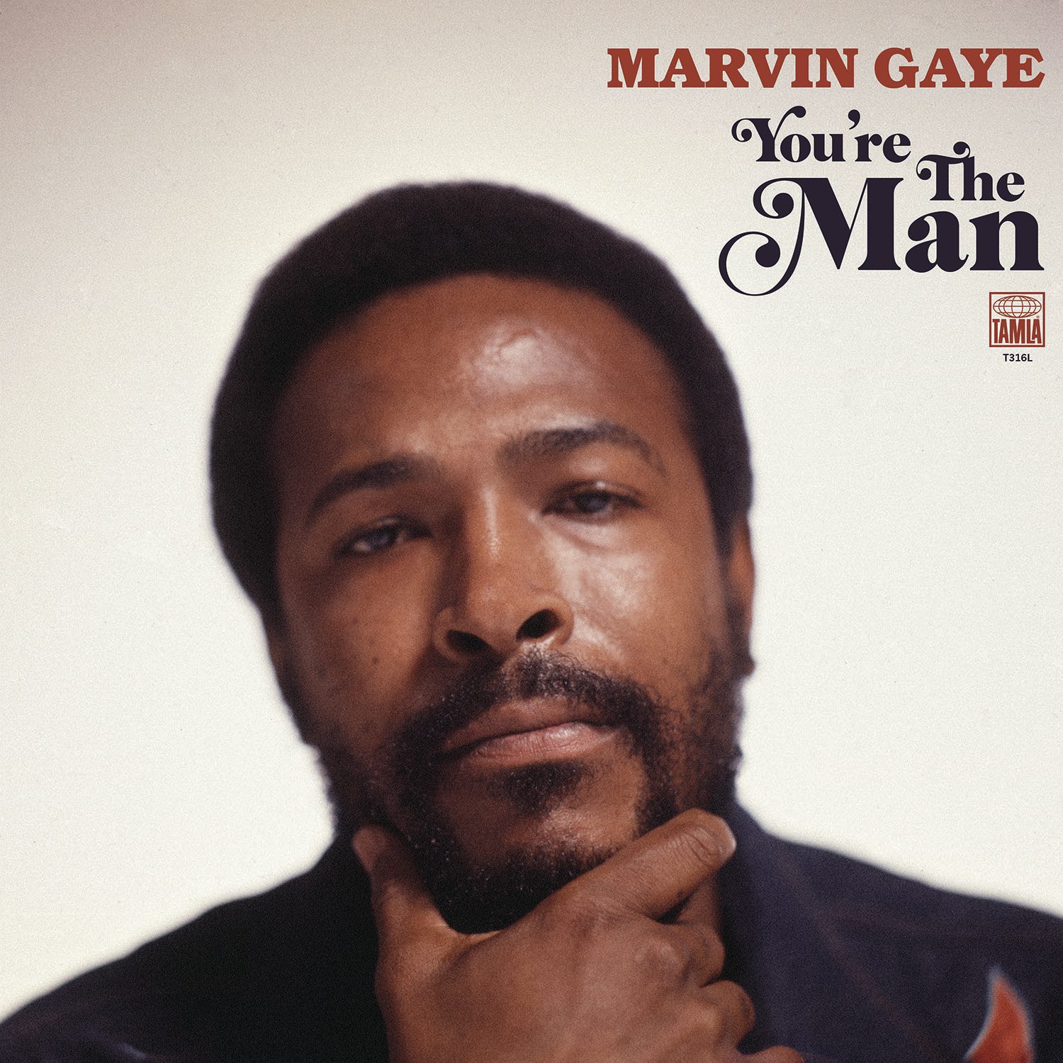 Marvin Gaye You're The Man Vinyl Record