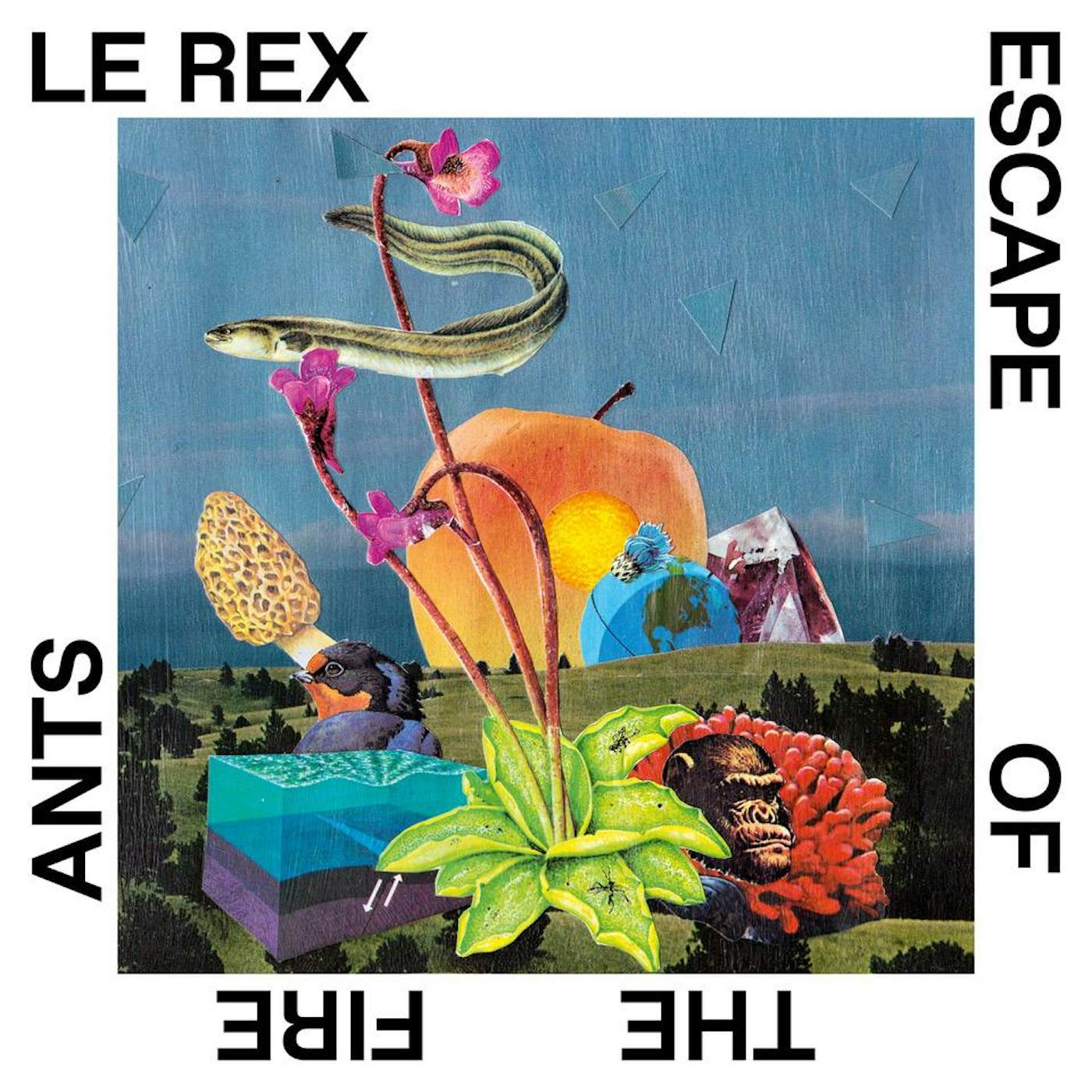 Le Rex ESCAPE OF THE FIRE ANTS CD