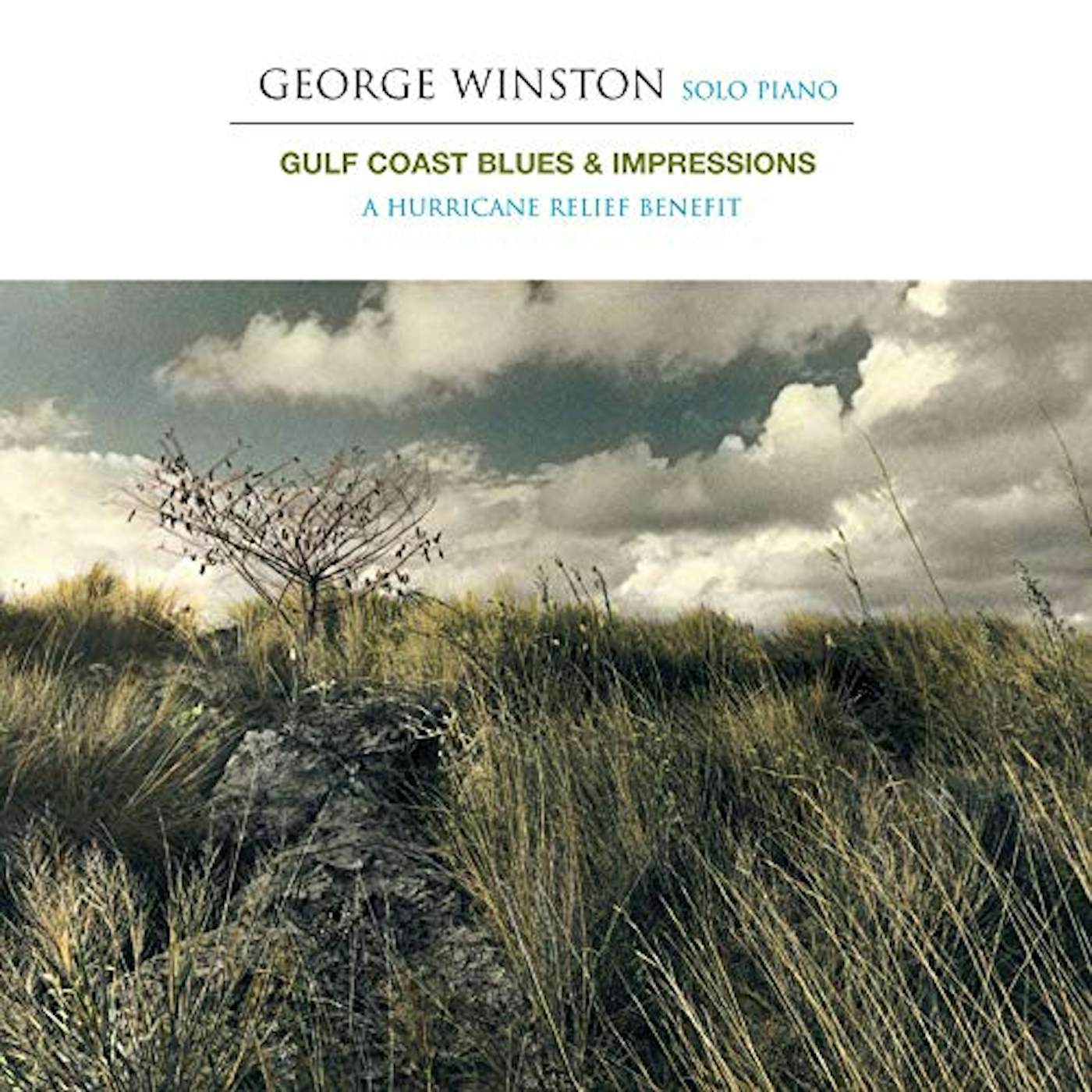 George Winston GULF COAST BLUES & IMPRESSIONS: A HURRICANE RELIEF CD