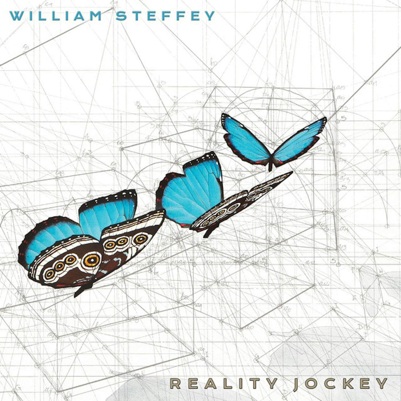 William Steffey REALITY JOCKEY CD