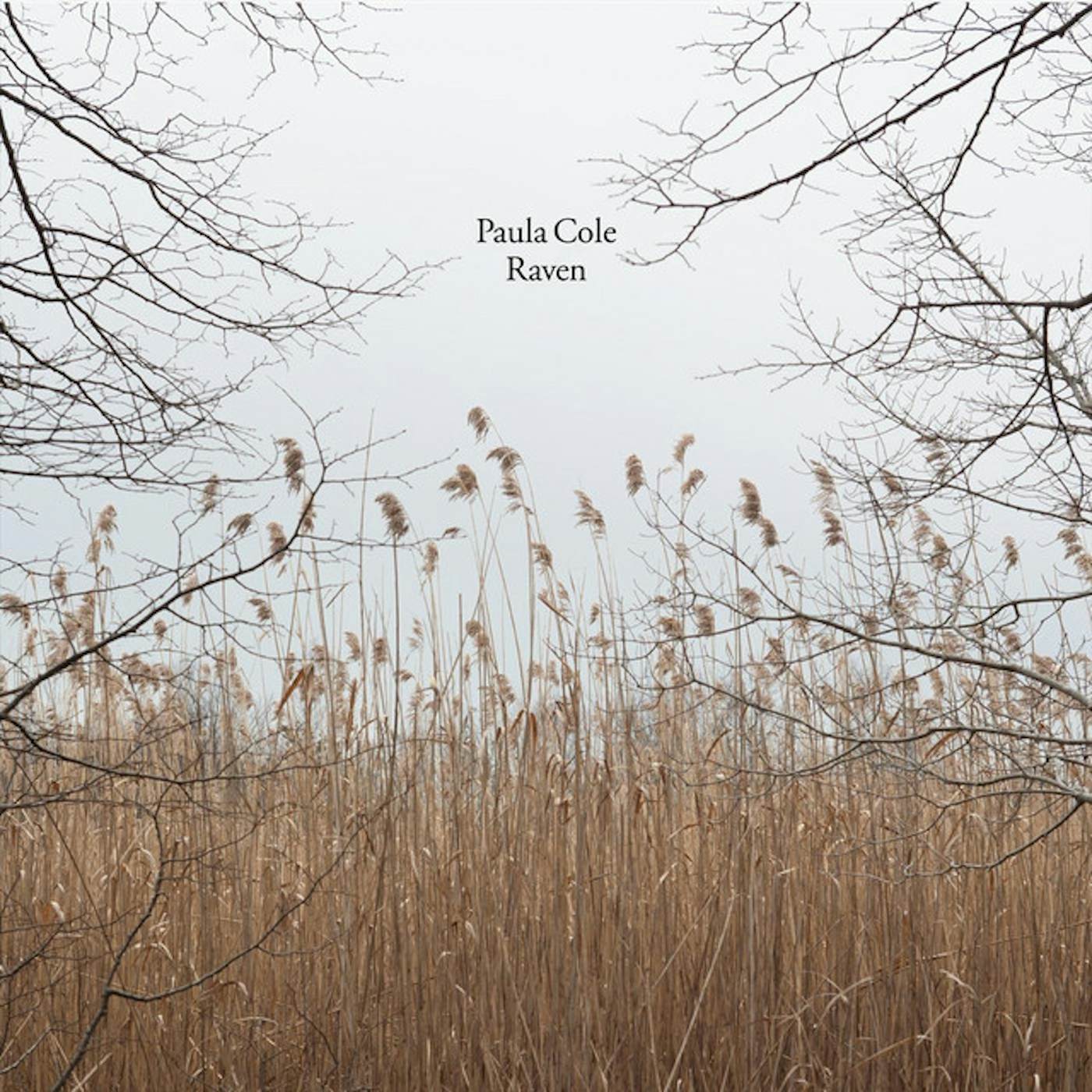 Paula Cole RAVEN CD