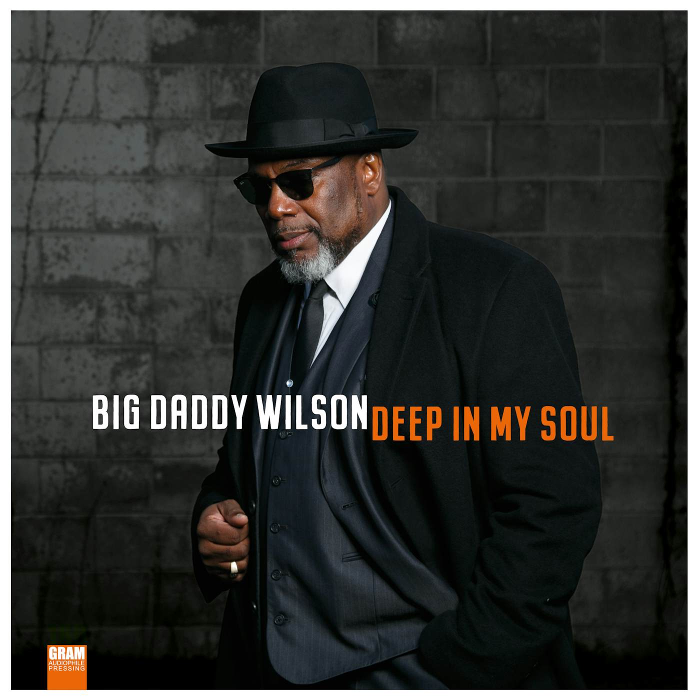 Big Daddy Wilson Deep in My Soul Vinyl Record
