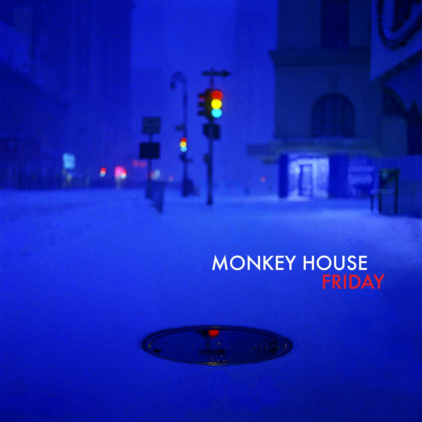 Monkey House Friday Vinyl Record