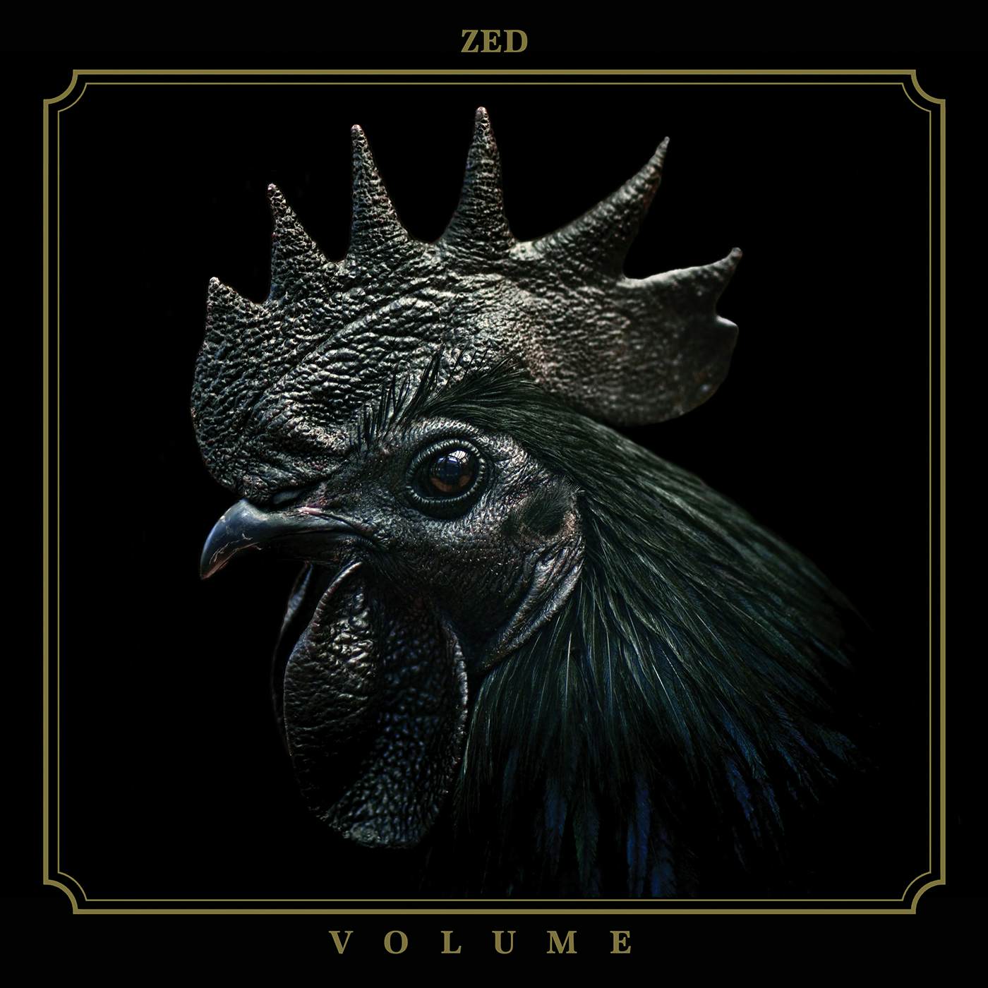 Zed VOLUME CD
