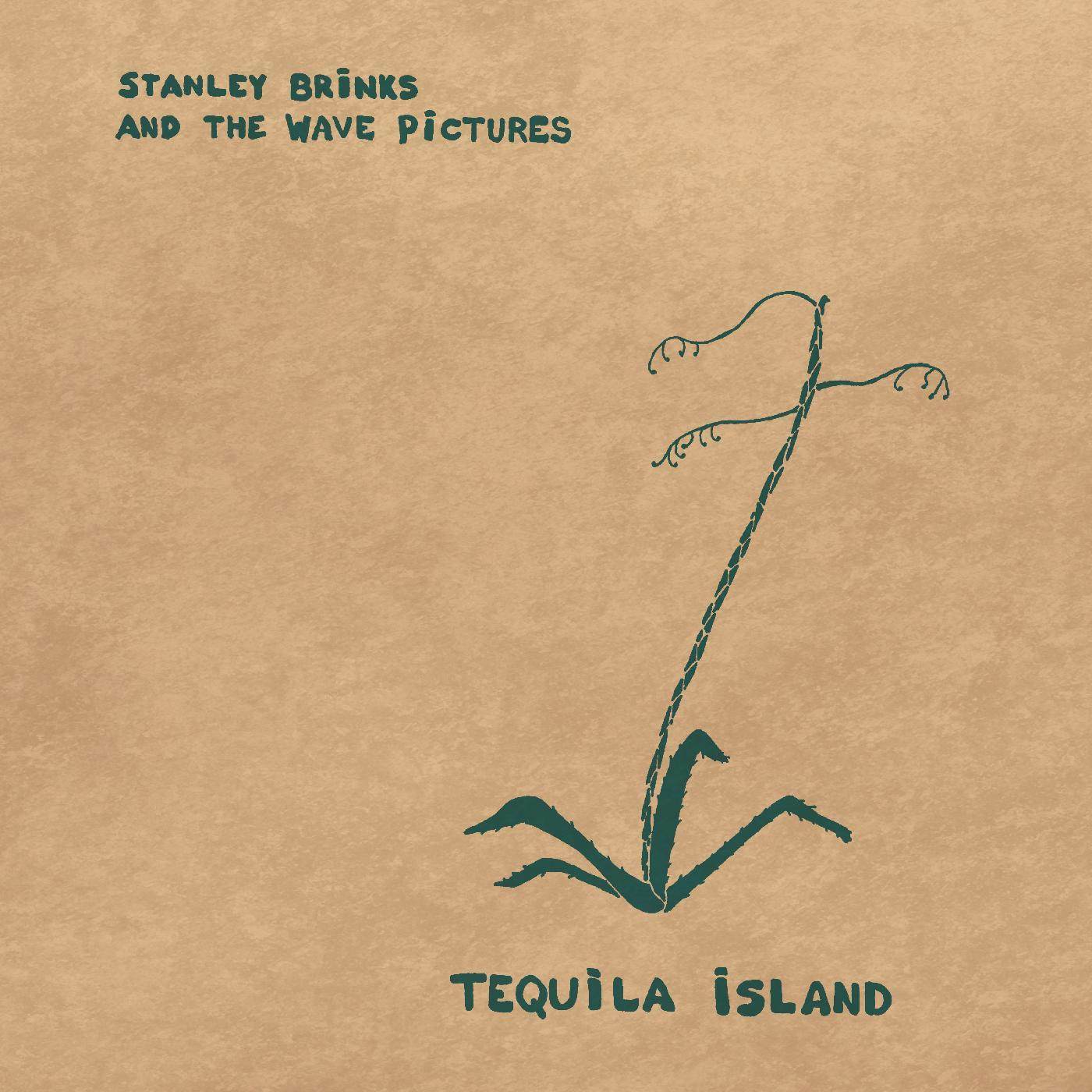 Stanley Brinks and The Wave Pictures TEQUILA ISLAND CD