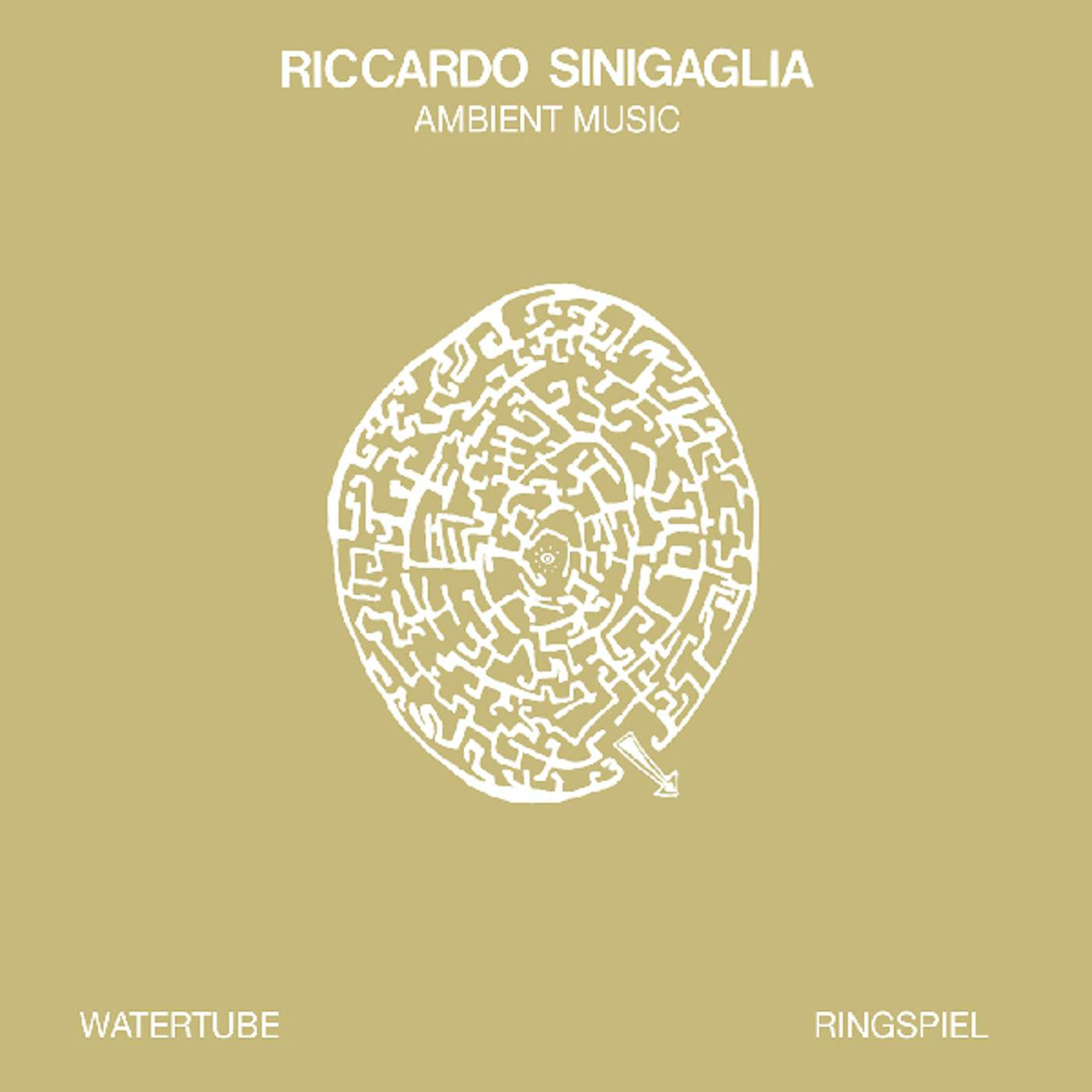 Riccardo Sinigaglia Ambient Music Vinyl Record