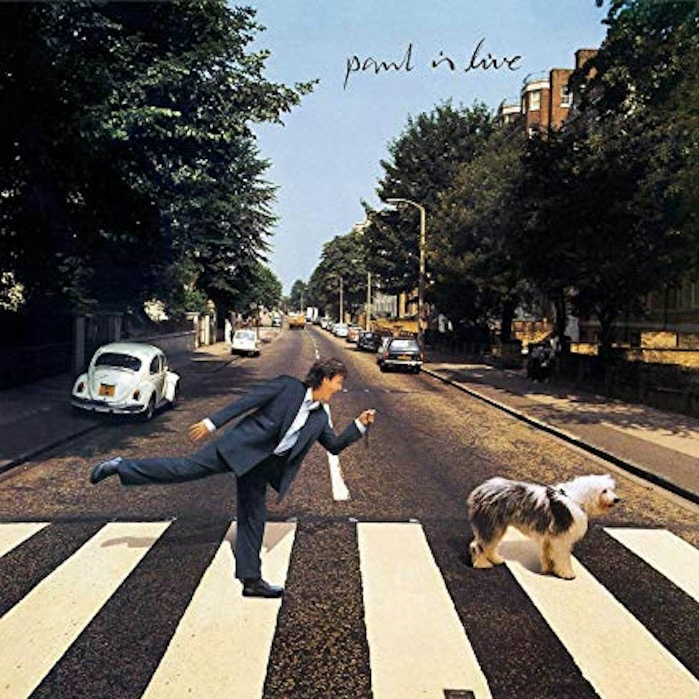 Paul McCartney Paul Is Live Vinyl Record
