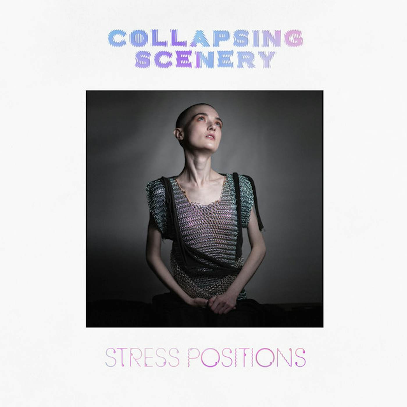 Collapsing Scenery Stress Positions Vinyl Record