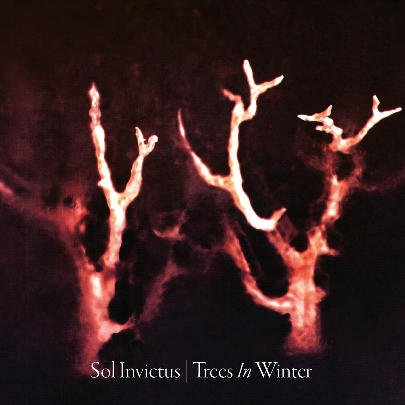 Sol Invictus TREES IN WINTER CD