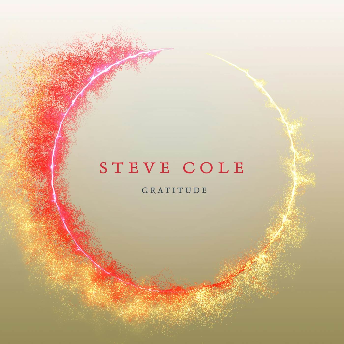 Steve Cole GRATITUDE CD