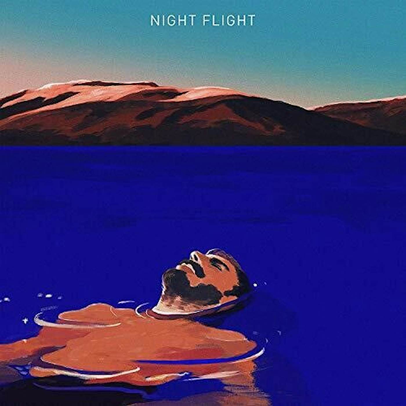 NIGHT FLIGHT Vinyl Record