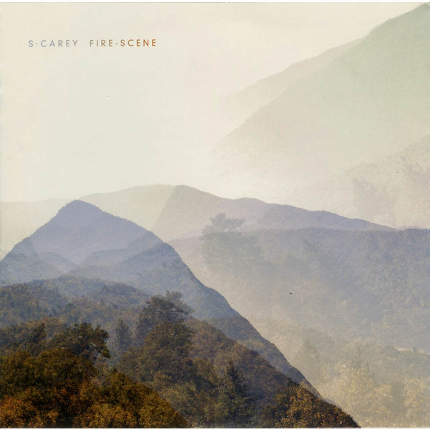 S. Carey FIRE-SCENE / CHRYSALIS Vinyl Record
