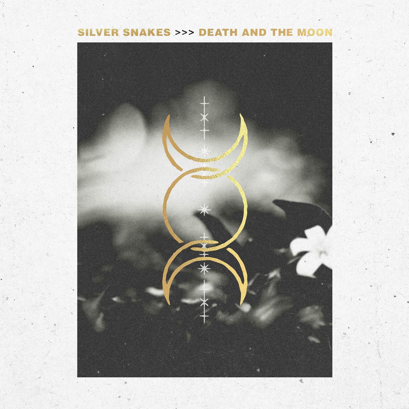 Silver Snakes Death and the Moon Vinyl Record