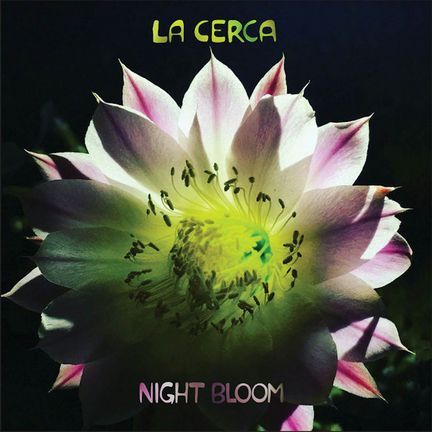 La Cerca Night Bloom Vinyl Record