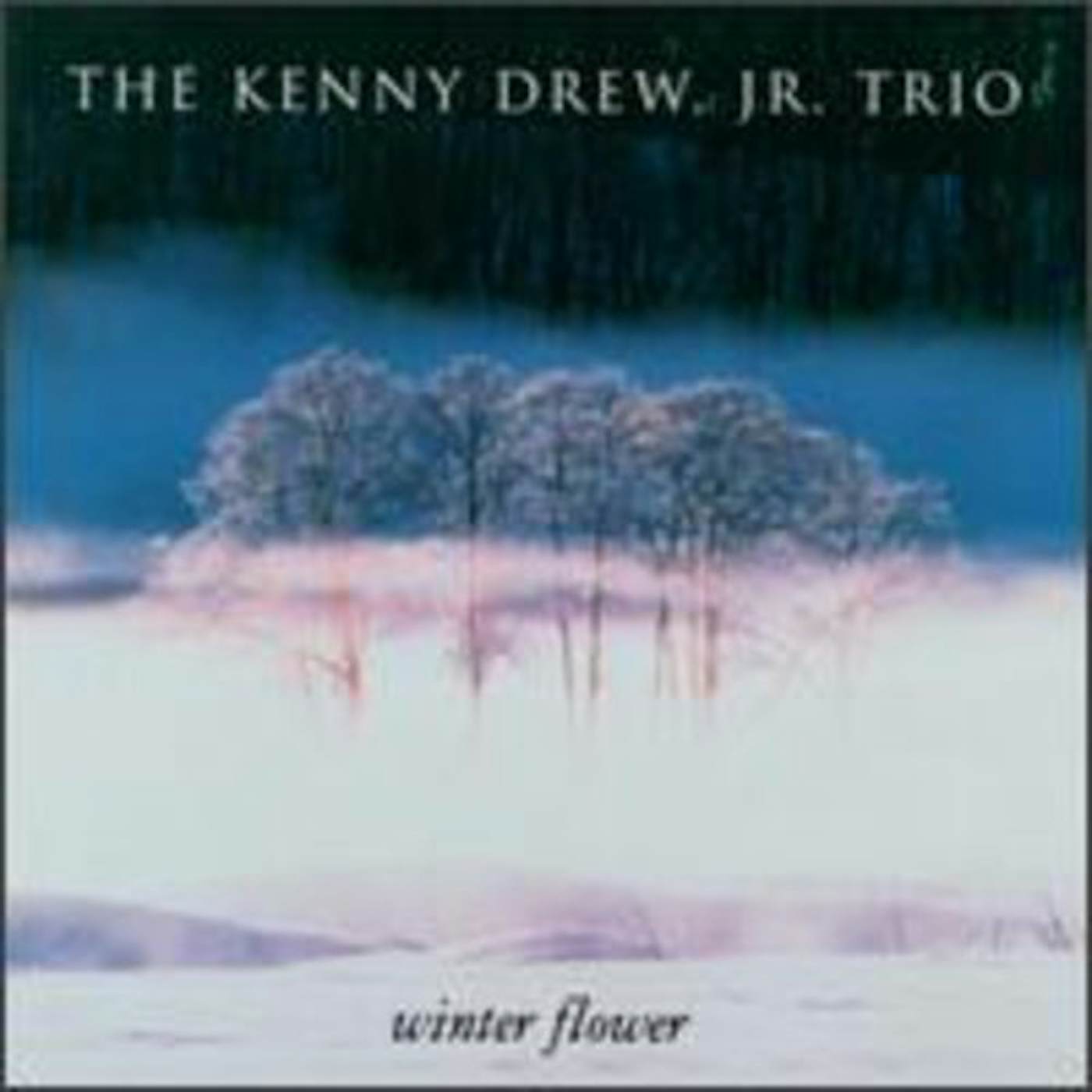Kenny Drew WINTER FLOWER CD