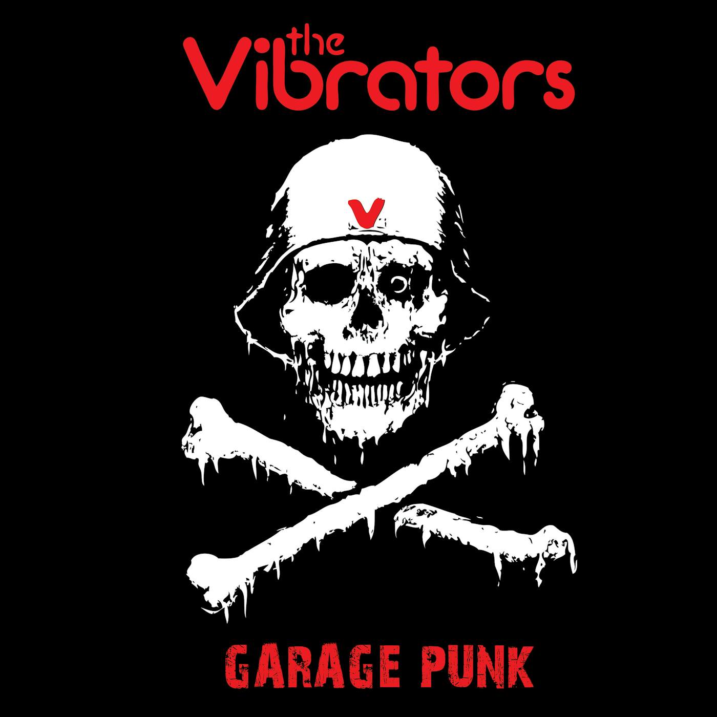 The Vibrators Garage Punk Vinyl Record