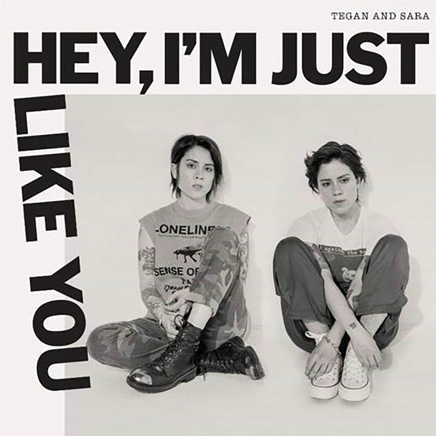Tegan and Sara Hey, I'm Just Like You Vinyl Record