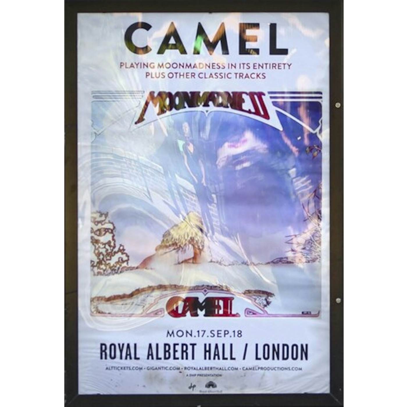 CAMEL AT THE ROYAL ALBERT HALL CD