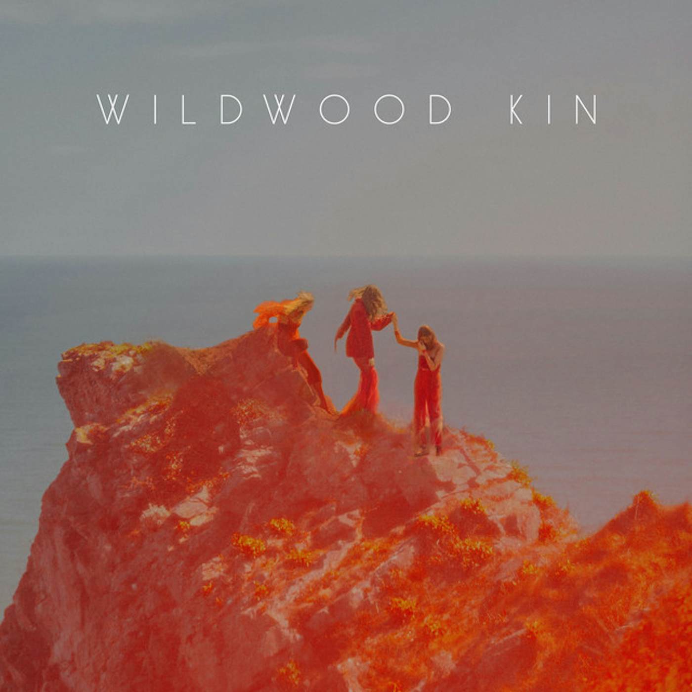 WILDWOOD KIN CD