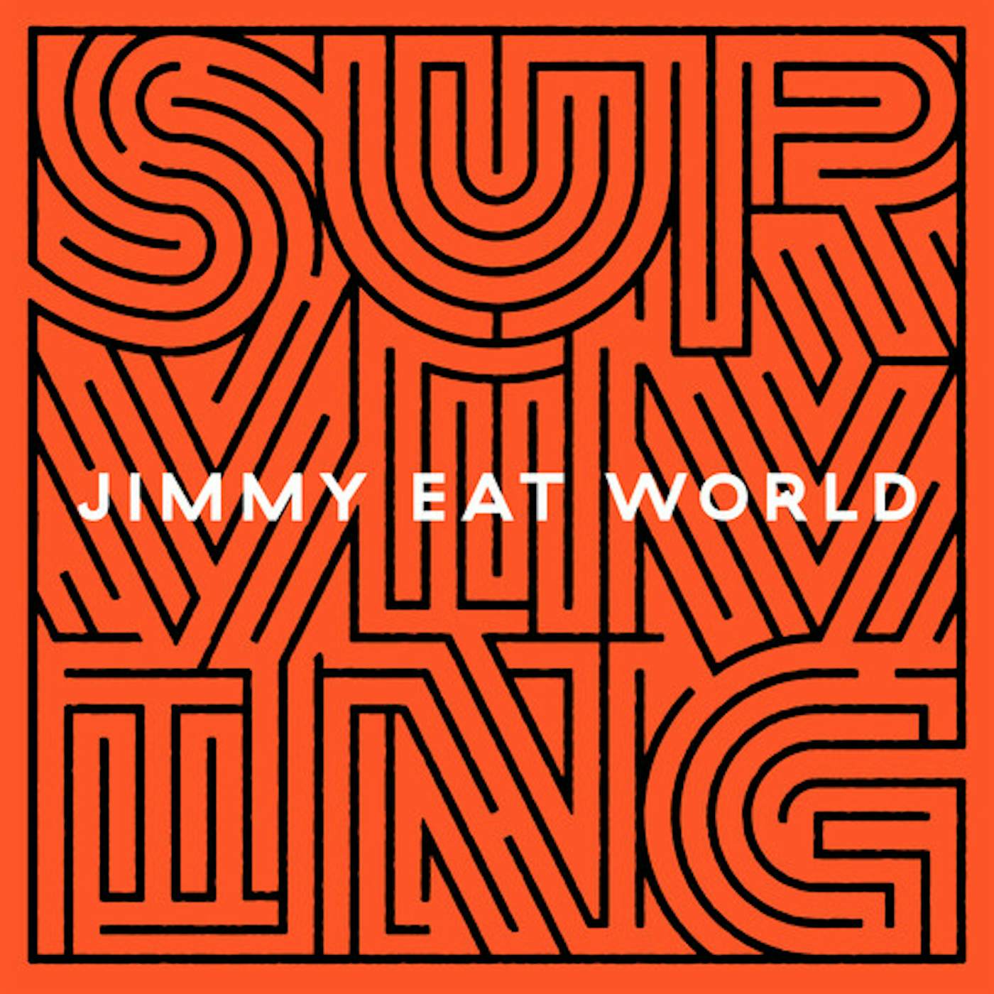 Jimmy Eat World Surviving Vinyl Record