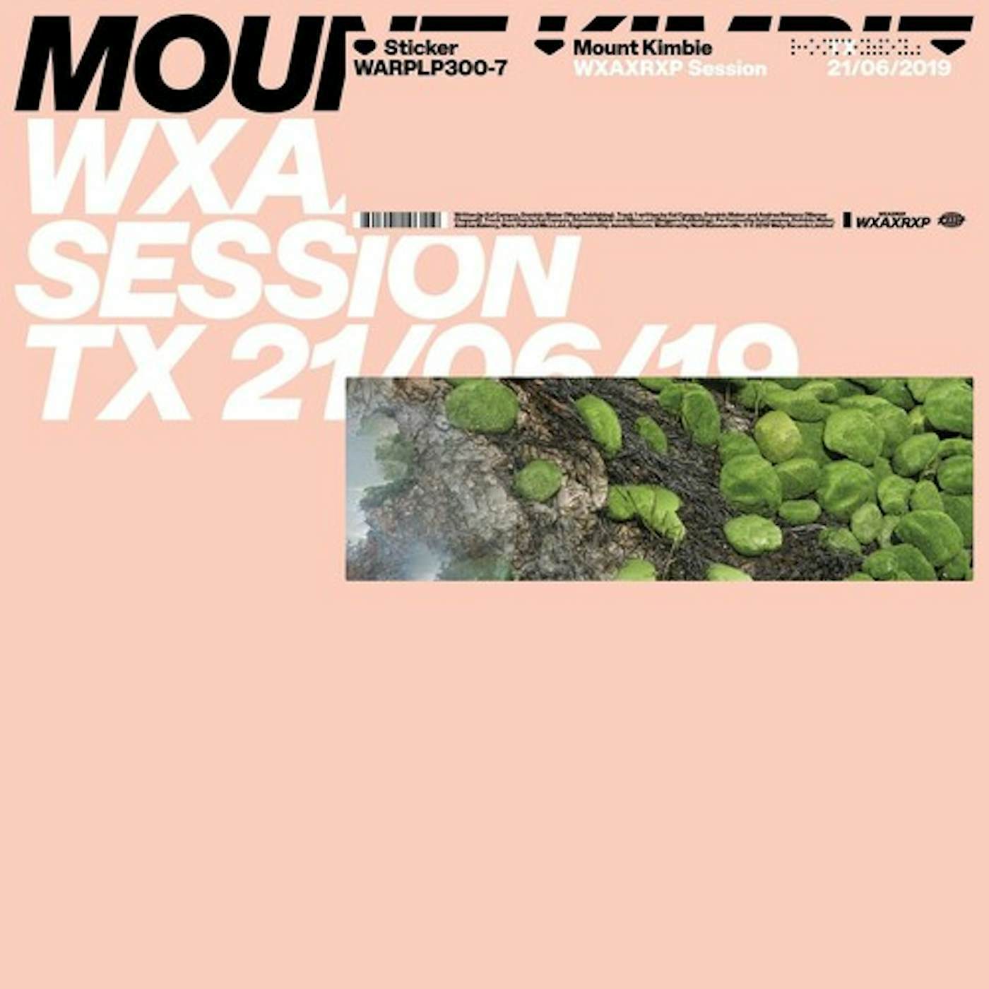 Mount Kimbie WXAXRXP Session Vinyl Record