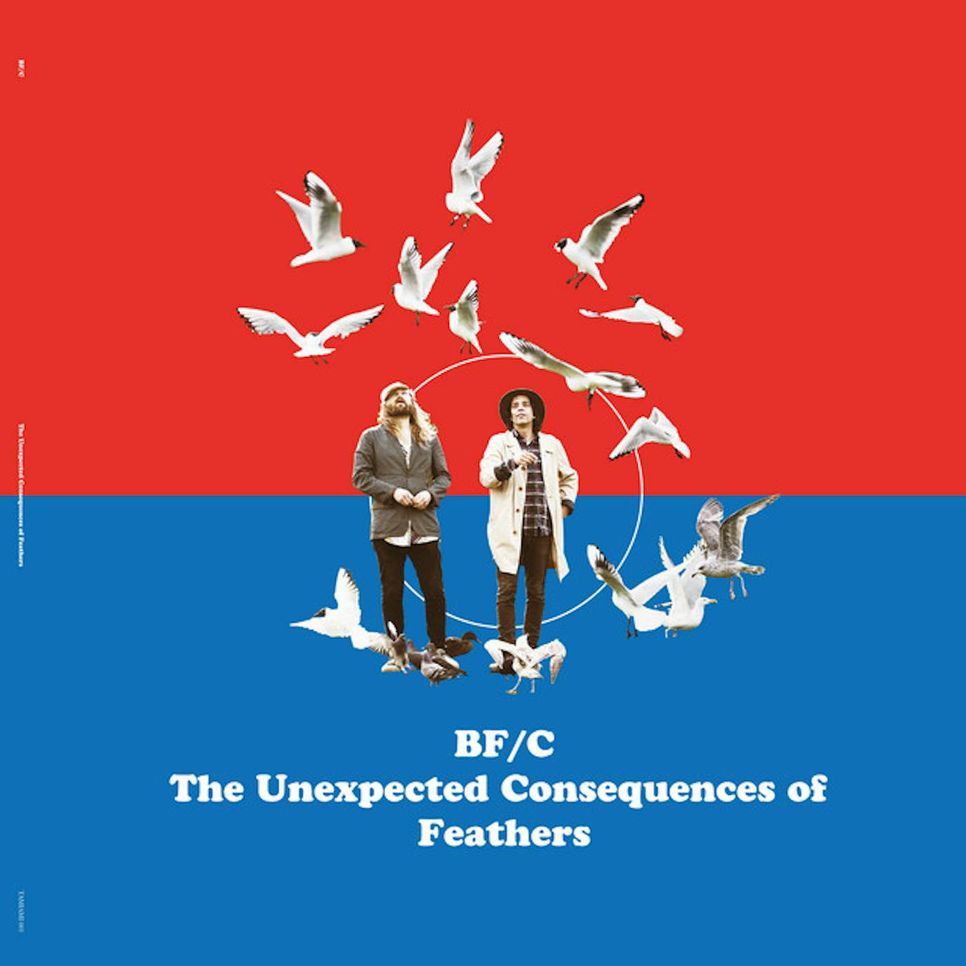 BF/C UNEXPECTED CONSEQUENCES OF FEATHERS Vinyl Record