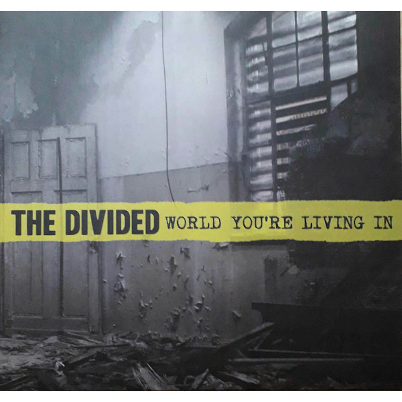 Divided World You're Living In Vinyl Record