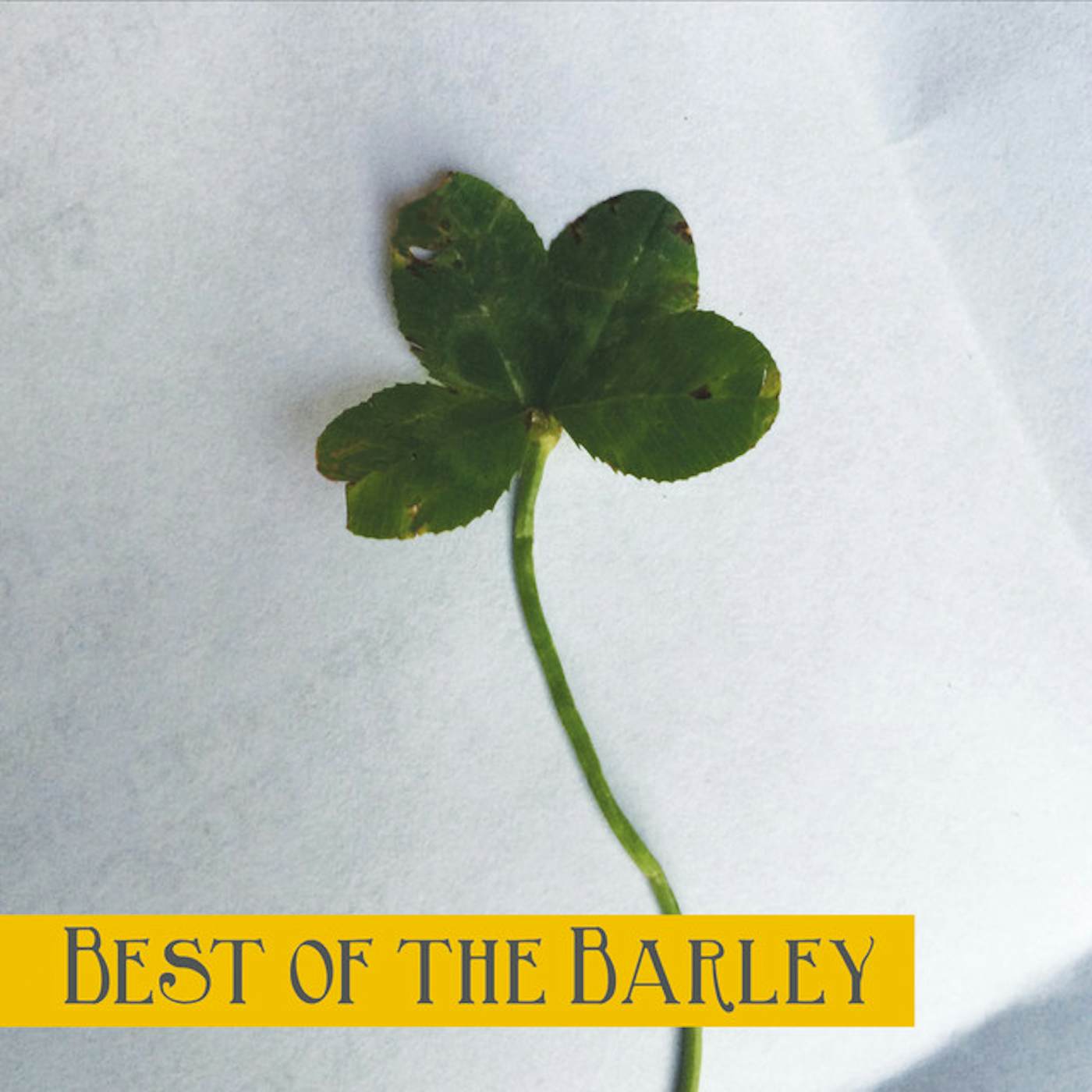 Barleyjuice BEST OF THE BARLEY CD