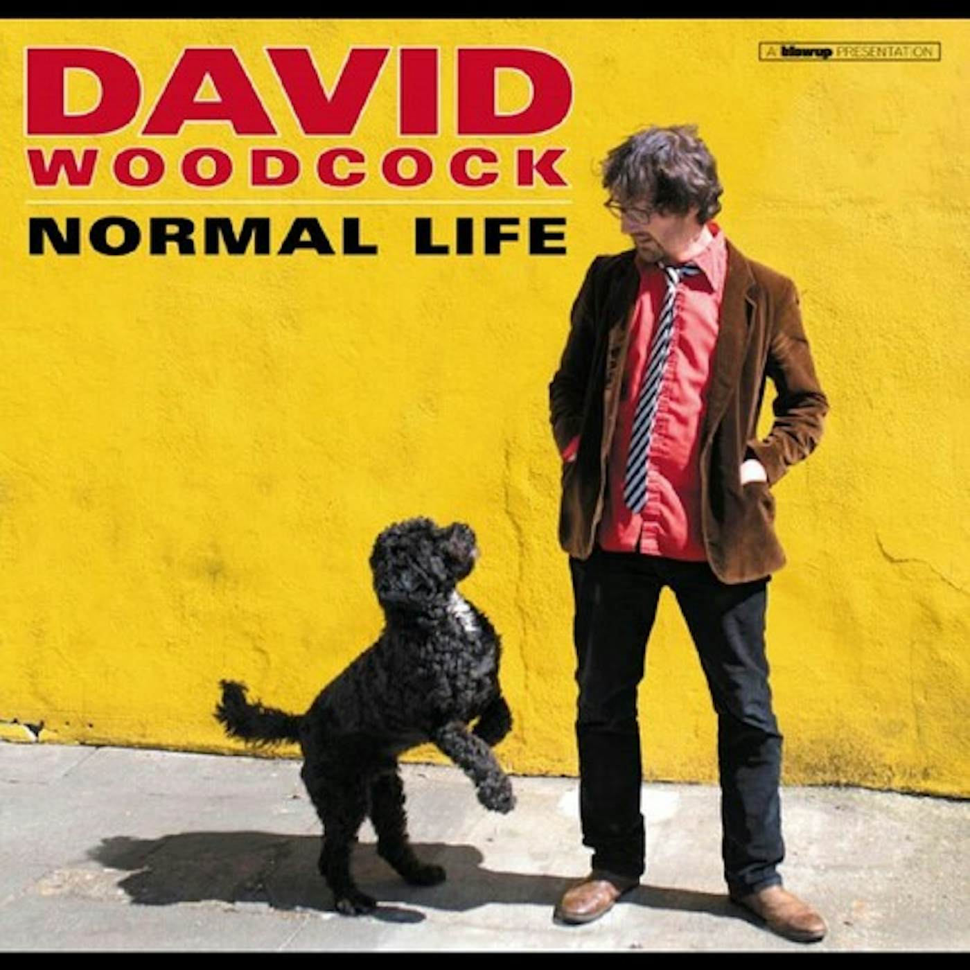 David Woodcock Normal Life Vinyl Record